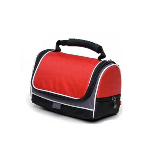 New style fashion lunch cooler bag