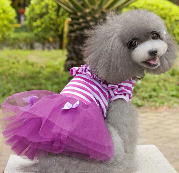 Purple color bubble skirt dog pet cloth