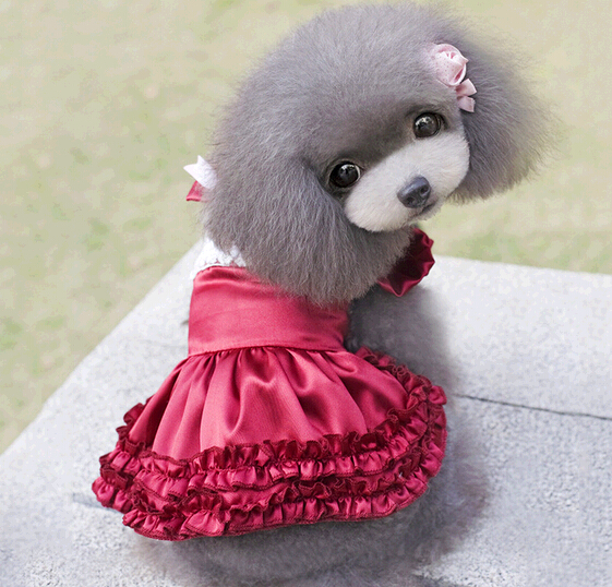 Cute satin material red skirt dress cat cloth, skirt dress dog cloth