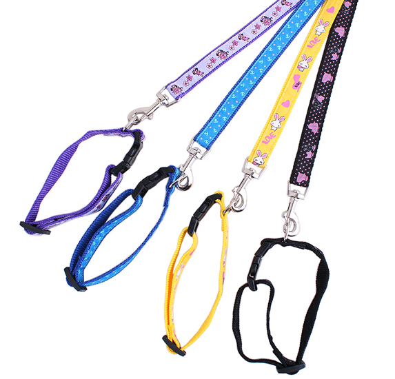 Customized logo pet collar and leash, dog leash for running