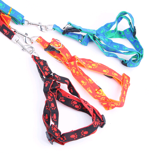 Polyester dog lead leashes and collar, cute dog collars and leashes