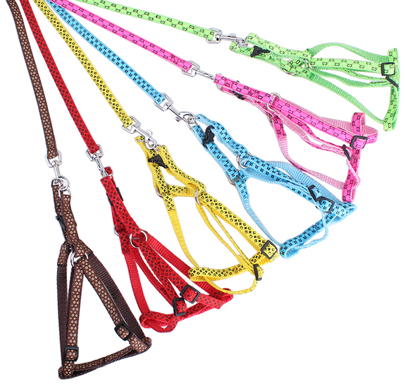 Custom printing nylon pet collar and leashes, nylon dog collar and leashes