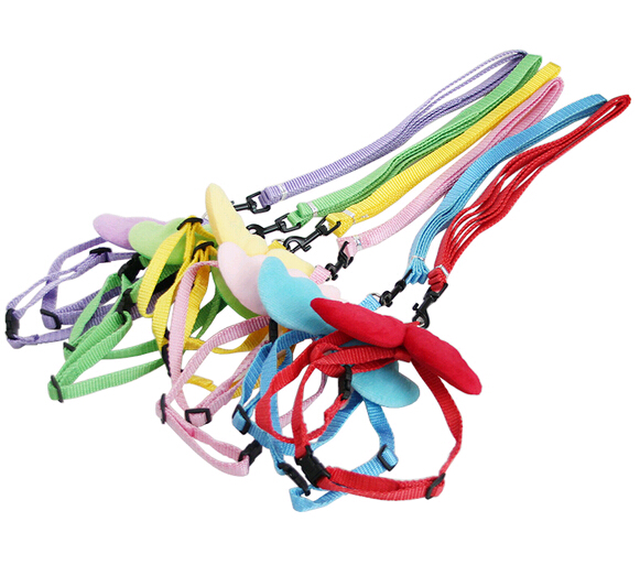 Promotional angel wing or bow shape nylon pet collar and leashes