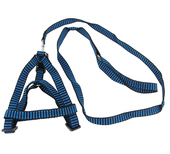 Promotional cheap nylon pet leashes and collar, nylon dog collar and leashes