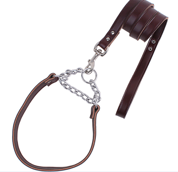 High quality genuine leather pet collar and leash