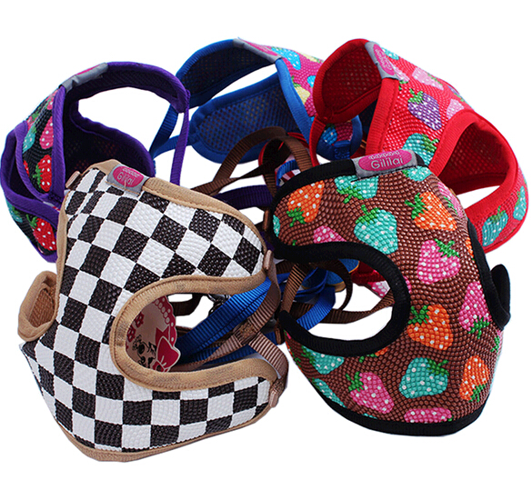 Promotional pet collar and leashes, dog carrier