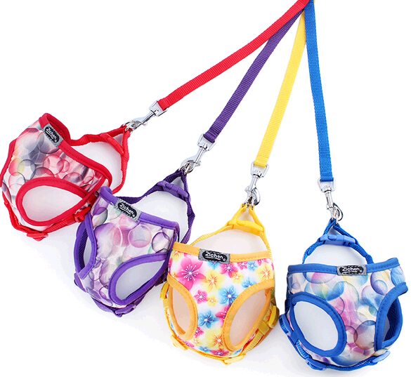 Promotional cheap pet carrier with leash, pet harness and leashes
