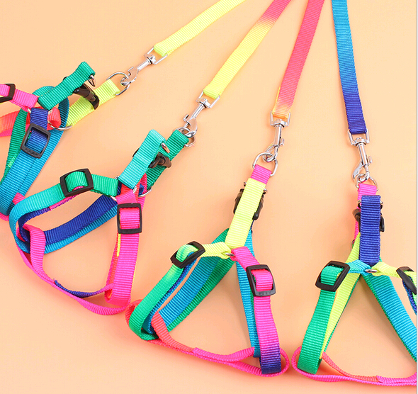 Colorful rainbow pet collar and leashes, dog collar and leashes