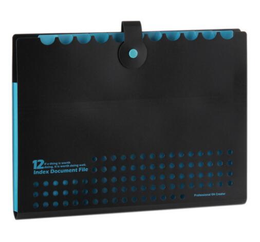 Promotional black color 12 pocket plastic clear expanding file folders or accordion file folder